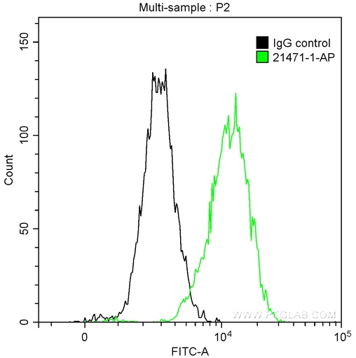 [21471-1-AP-150UL] NF-H Polyclonal antibody
