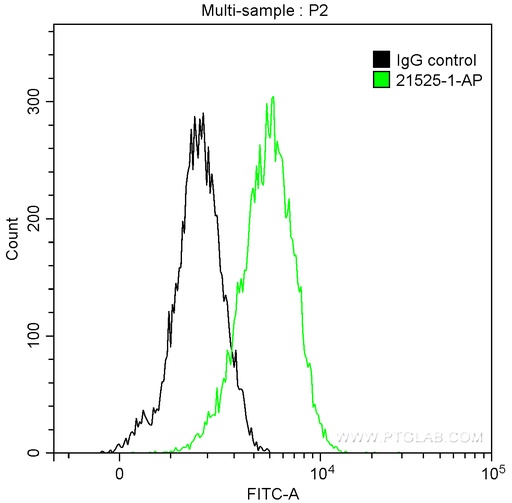 [21525-1-AP-150UL] ITK Polyclonal antibody