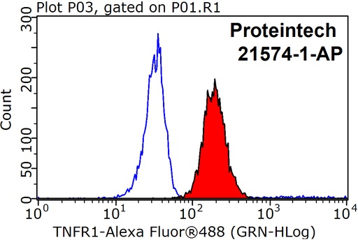 [21574-1-AP-150UL] TNFR1 Polyclonal antibody