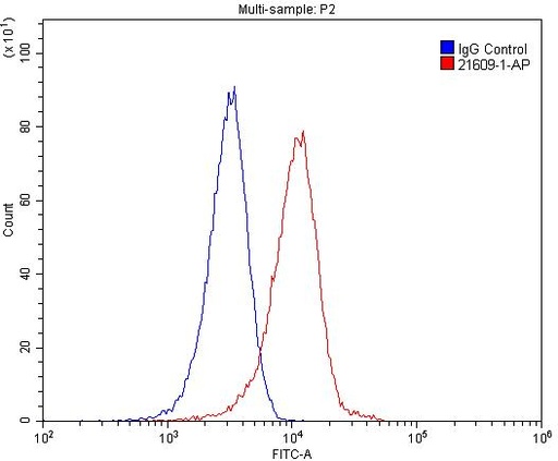 [21609-1-AP-150UL] IL-1-RAPL-1 Polyclonal antibody