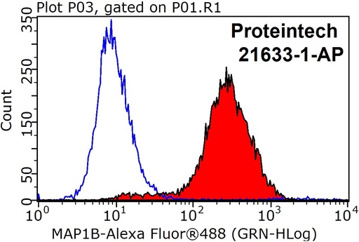 [21633-1-AP-150UL] MAP1B Polyclonal antibody