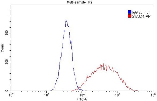 [21702-1-AP-20UL] HLA-DRB5 Polyclonal antibody
