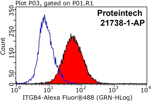 [21738-1-AP-150UL] Integrin Beta 4 Polyclonal antibody