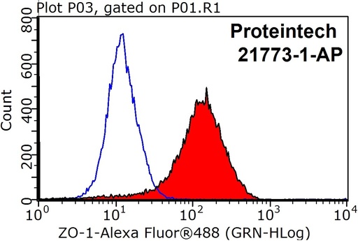 [21773-1-AP-20UL] ZO-1 Polyclonal antibody