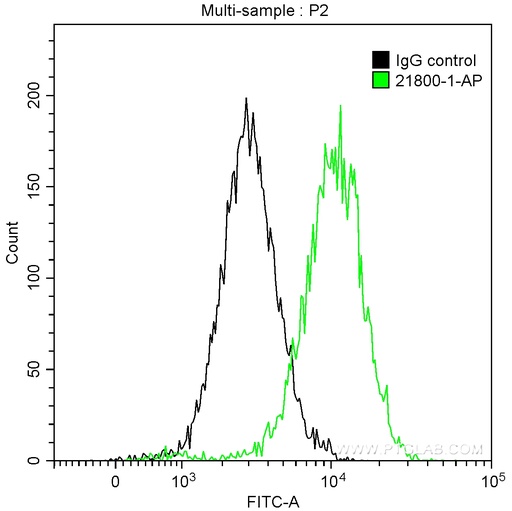 [21800-1-AP-20UL] EZH2 Polyclonal antibody