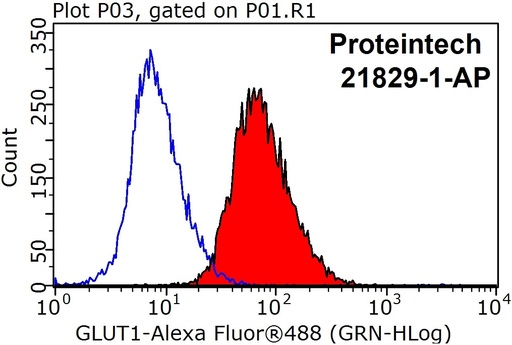 [21829-1-AP-150UL] GLUT1 Polyclonal antibody