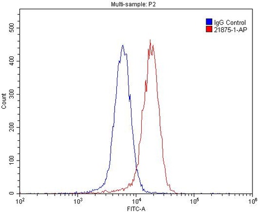 [21875-1-AP-20UL] EphA4 Polyclonal antibody