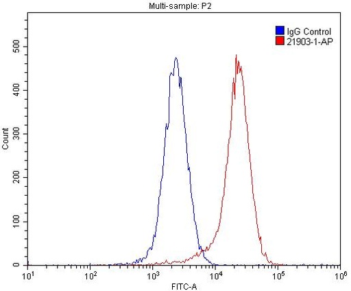 [21903-1-AP-150UL] PVRL4 Polyclonal antibody