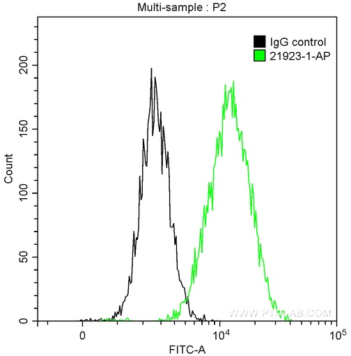[21923-1-AP-150UL] ACC1 Polyclonal antibody