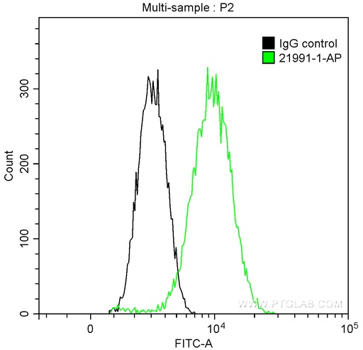 [21991-1-AP-150UL] PKC Alpha Polyclonal antibody