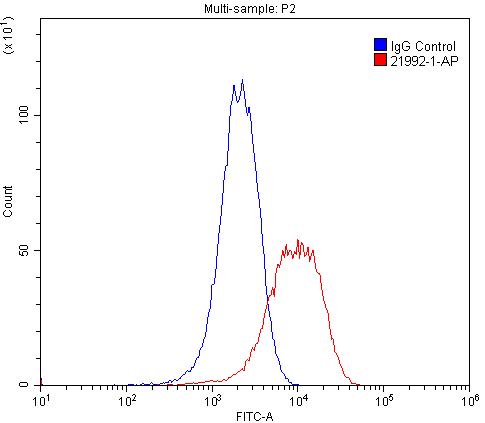 [21992-1-AP-20UL] Integrin Alpha 3 Polyclonal antibody