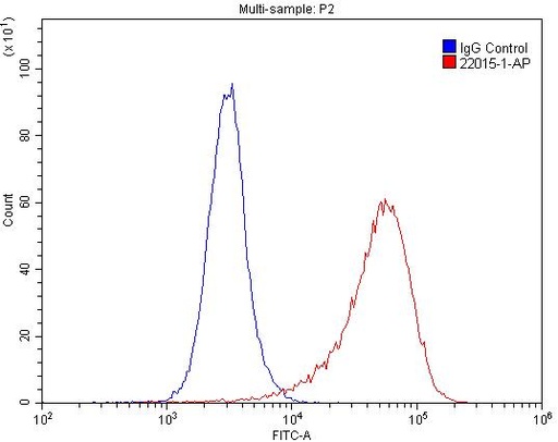 [22015-1-AP-20UL] RRBP1 Polyclonal antibody