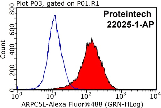 [22025-1-AP-150UL] ARPC5L Polyclonal antibody