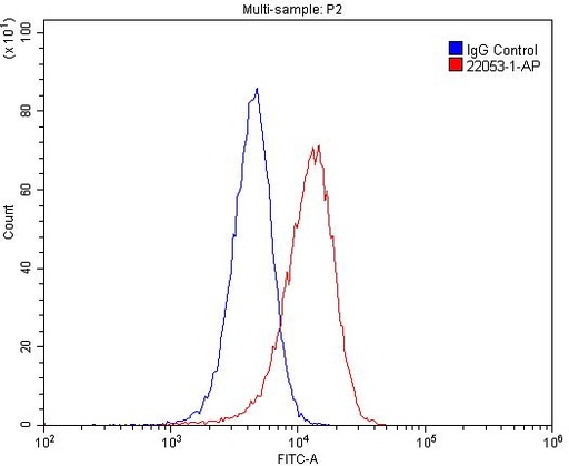 [22053-1-AP-150UL] MAGED1 Polyclonal antibody
