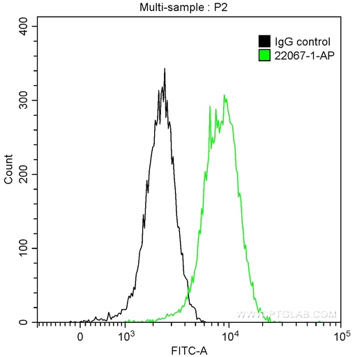 [22067-1-AP-20UL] CDK8 Polyclonal antibody