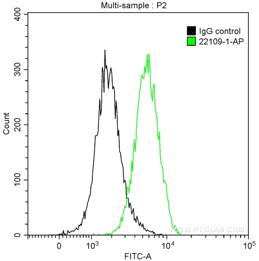 [22109-1-AP-20UL] ALDH1A1-specific Polyclonal antibody