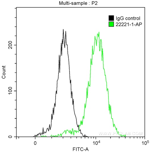 [22221-1-AP-20UL] Cytokeratin 14 Polyclonal antibody