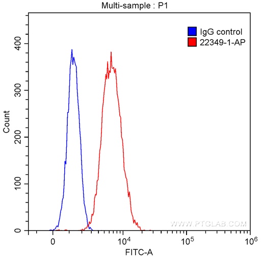 [22349-1-AP-20UL] CD79A Polyclonal antibody