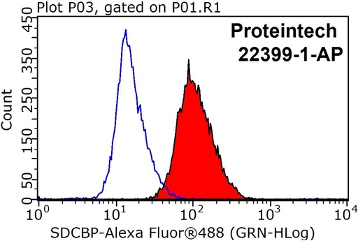 [22399-1-AP-20UL] Syntenin-1 Polyclonal antibody