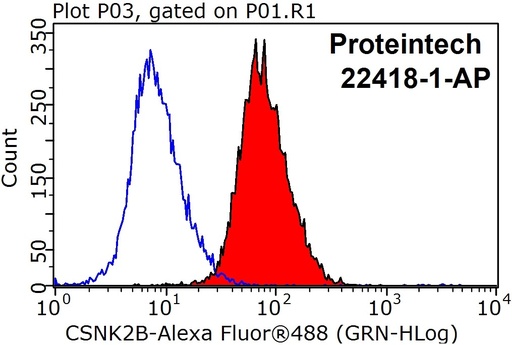 [22418-1-AP-20UL] CSNK2B Polyclonal antibody