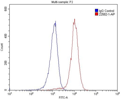[22582-1-AP-20UL] TNFRSF13C Polyclonal antibody