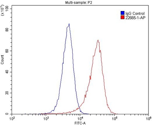 [22665-1-AP-20UL] FSHR Polyclonal antibody