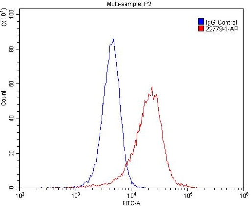 [22779-1-AP-20UL] LIFR Polyclonal antibody