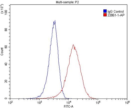 [22861-1-AP-150UL] IL-22RA2 Polyclonal antibody