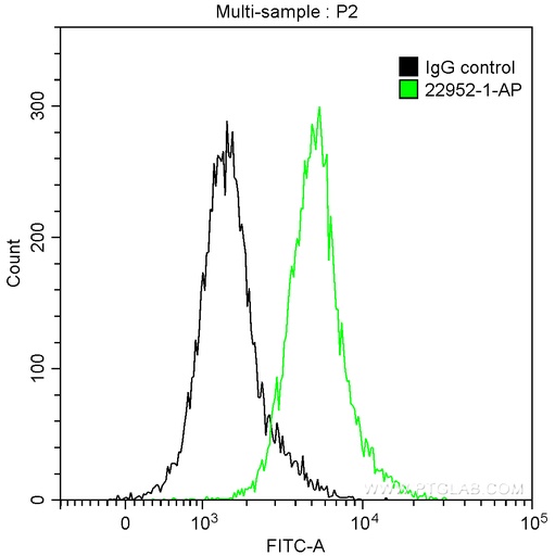 [22952-1-AP-150UL] Osteopontin Polyclonal antibody