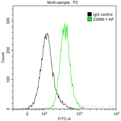 [22999-1-AP-150UL] PARP1 Polyclonal antibody