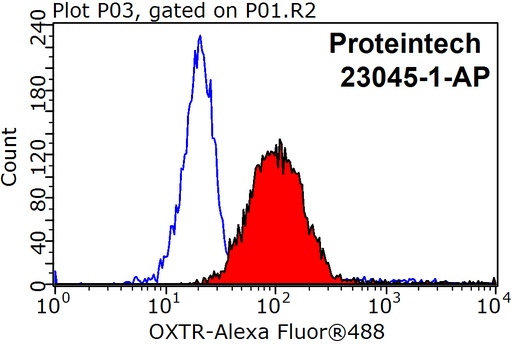 [23045-1-AP-150UL] OXTR Polyclonal antibody