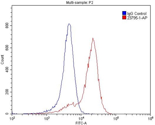 [23795-1-AP-20UL] PLXNB1 Polyclonal antibody