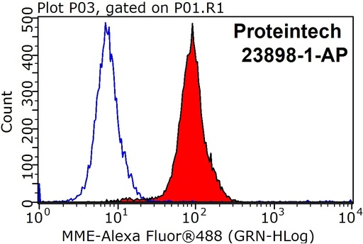 [23898-1-AP-150UL] MME,CD10 Polyclonal antibody
