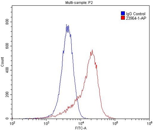 [23964-1-AP-20UL] CLEC14A Polyclonal antibody