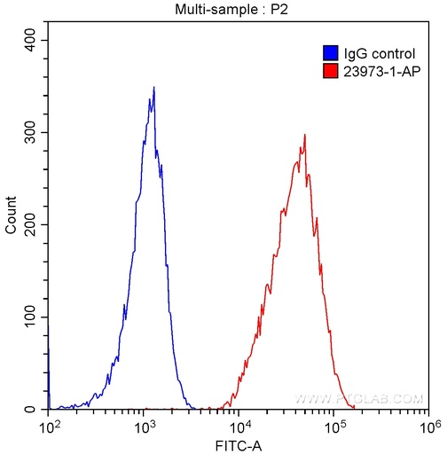 [23973-1-AP-150UL] CD2 Polyclonal antibody