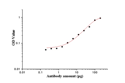 [23979-1-AP-20UL] PR repeat Polyclonal antibody