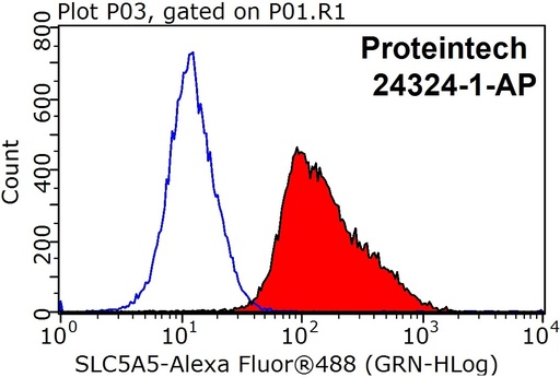 [24324-1-AP-150UL] Sodium iodide symporter Polyclonal antibody