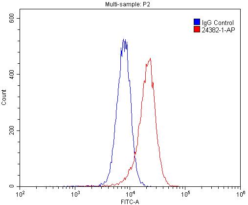 [24382-1-AP-20UL] VSTM1 Polyclonal antibody