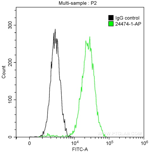 [24474-1-AP-150UL] C1QBP Polyclonal antibody