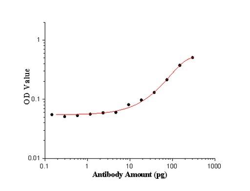 [24492-1-AP-20UL] GA repeat Polyclonal antibody