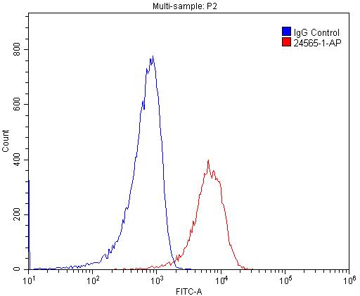 [24565-1-AP-20UL] MYO10 Polyclonal antibody