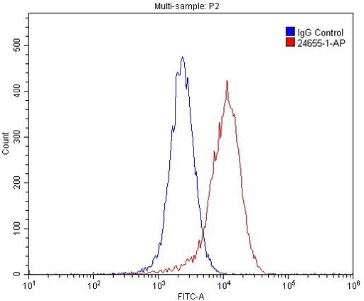 [24655-1-AP-150UL] SRA1 Polyclonal antibody