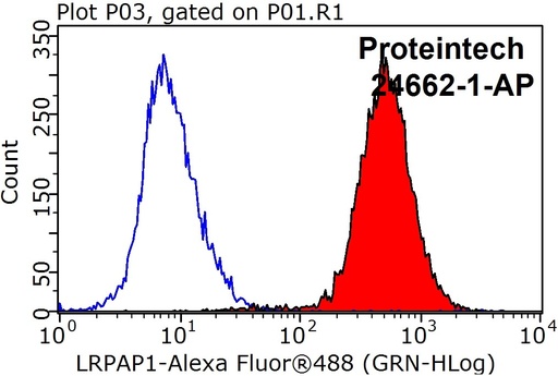 [24662-1-AP-20UL] LRPAP1 Polyclonal antibody