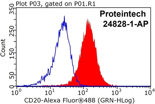 [24828-1-AP-20UL] CD20 Polyclonal antibody
