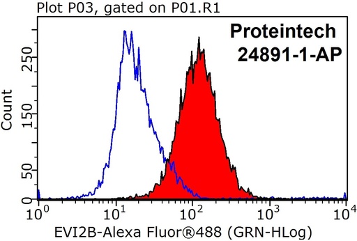 [24891-1-AP-150UL] EVI2B Polyclonal antibody