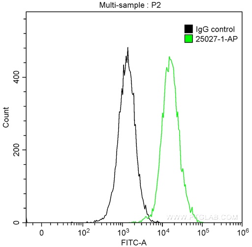 [25027-1-AP-150UL] RELB Polyclonal antibody