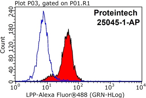 [25045-1-AP-150UL] LPP Polyclonal antibody
