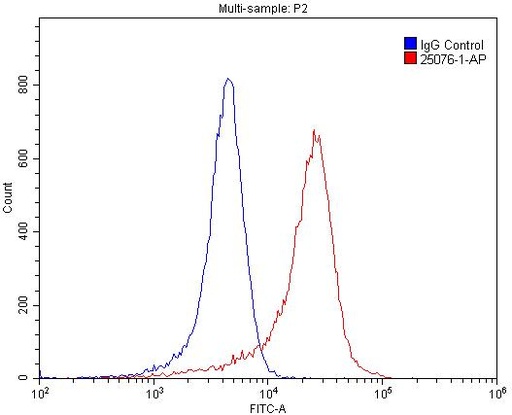 [25076-1-AP-150UL] GPR107 Polyclonal antibody