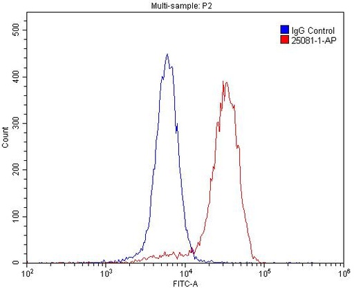 [25081-1-AP-150UL] PGP Polyclonal antibody