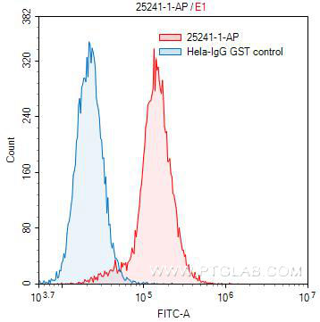 [25241-1-AP-150UL] NCOA6 Polyclonal antibody